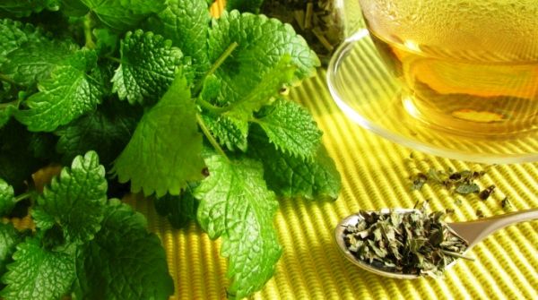 110268_citromfu_600_3.jpg 110268_citromfu_600_3.jpg