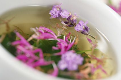 kertikakukkfu.jpg kertikakukkfu.jpg