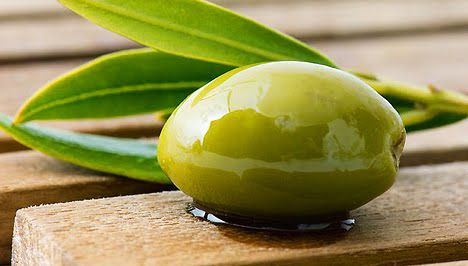 oliva01.jpg oliva01.jpg