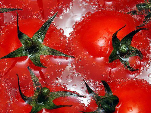 paradicsom3.jpg paradicsom3.jpg