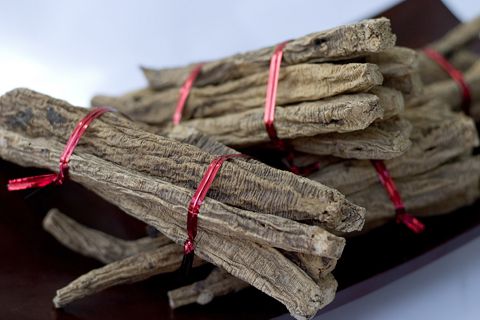 shutterstock_18208120.jpg shutterstock_18208120.jpg