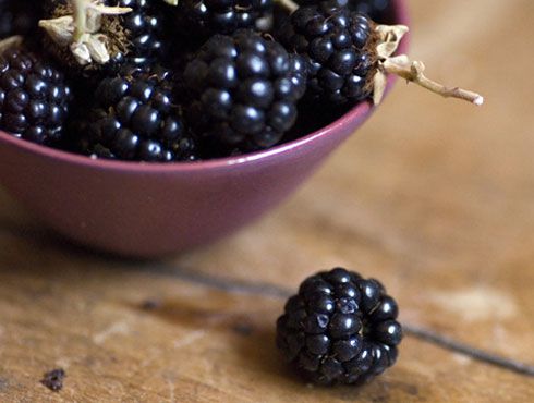 szeder490.jpg szeder490.jpg